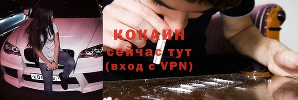 твердый Богородицк