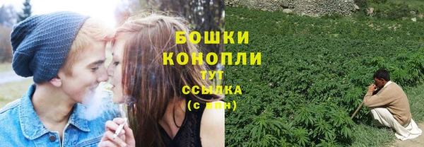 твердый Богородицк