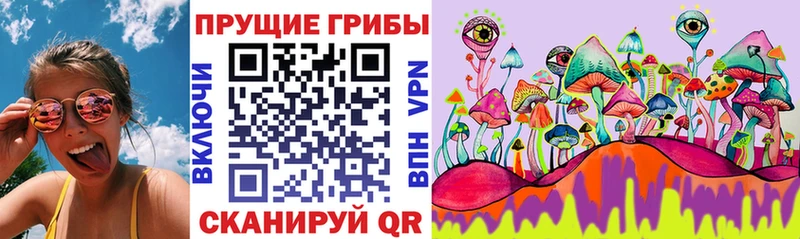 OMG онион  Очёр  Галлюциногенные грибы Magic Shrooms 